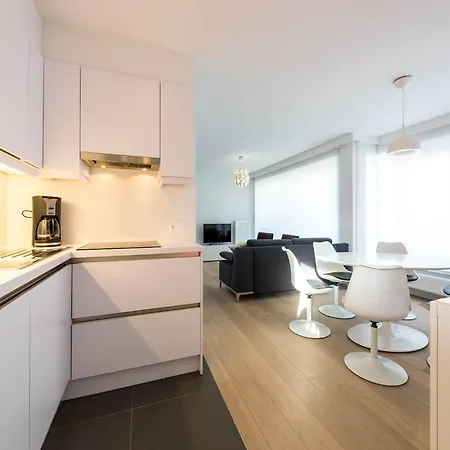 With Sea View And Balcony In Belgium, Cleaning Included Apartment