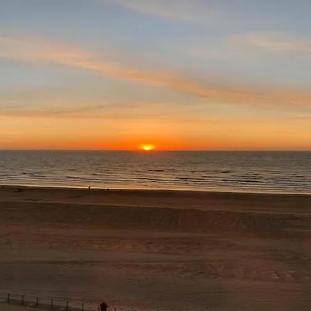 아파트 With Sea View And Balcony In Belgium, Cleaning Included