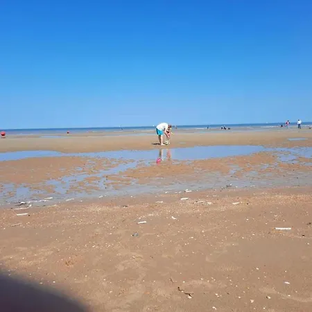 With Sea View And Balcony In Belgium, Cleaning Included 코크시데