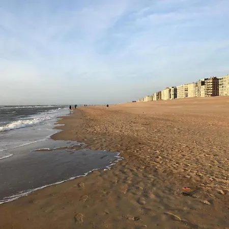 With Sea View And Balcony In Belgium, Cleaning Included Apartment