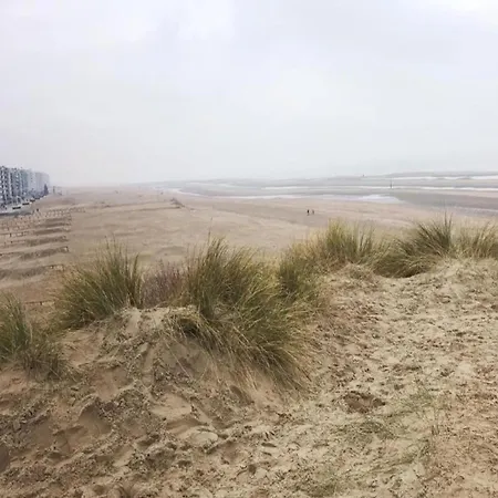 Apartment With Sea View And Balcony In Belgium, Cleaning Included Koksijde
